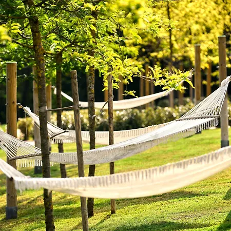 Szálloda Mediteran Plava Laguna