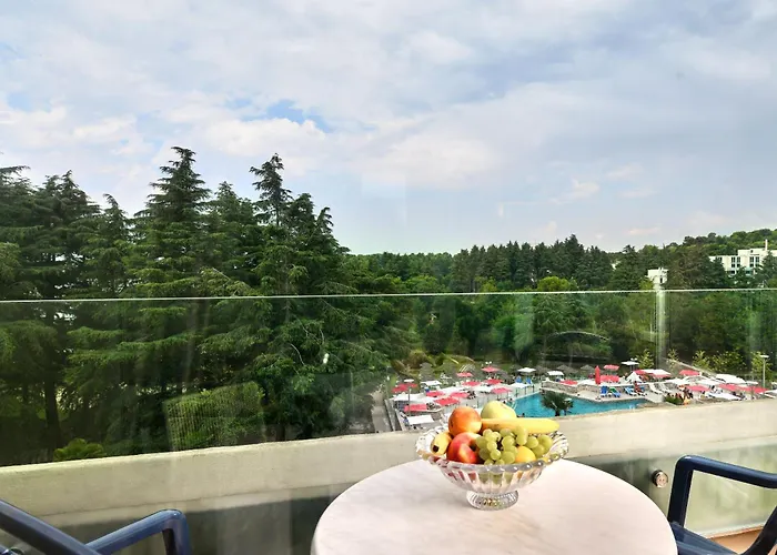 Ξενοδοχείο Mediteran Plava Laguna